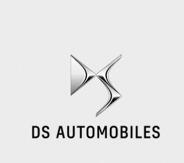 DS STORE KYIV логотип
